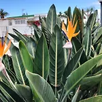 Full Appt Atlanta Peaceful Garden With Pool Apartment Puerto de la Cruz (Tenerife)